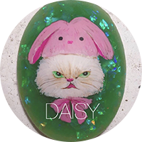 DAISY